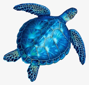 Turtle No Background - Blue And Green Sea Turtles, HD Png Download, Transparent PNG
