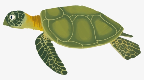 Background Category - Sea Turtle Cartoon Png, Transparent Png, Transparent PNG