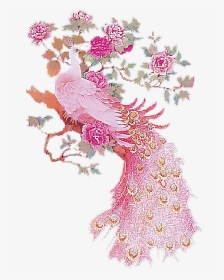 Pink Peacock Art, HD Png Download, Transparent PNG