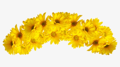 Yellow Flower Crown Transparent, HD Png Download, Transparent PNG