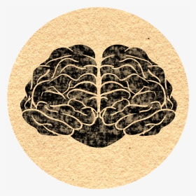 Molly Illustrates, HD Png Download, Transparent PNG