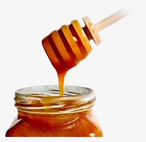 Pitt Program Council - Danger Of Honey During Pregnancy, HD Png Download, Transparent PNG