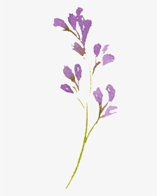 Hand Painted Romantic Purple Flower Png Transparent - Snow Crocus, Png Download, Transparent PNG