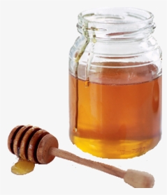 Honey Png Free Image Download - Honey Transparent Png, Png Download, Transparent PNG