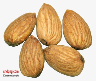 Almond, HD Png Download, Transparent PNG