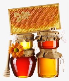 Honey Png Free Image Download - Honey, Transparent Png, Transparent PNG