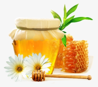 Honey Png Free Image Download - Honey Png, Transparent Png, Transparent PNG