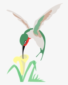 Hummingbird And Flower Clipart, HD Png Download, Transparent PNG