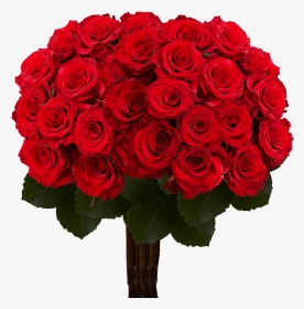 Bunch Of Roses, HD Png Download, Transparent PNG