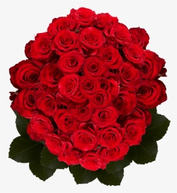Best Dark Red Roses - Floribunda, HD Png Download, Transparent PNG