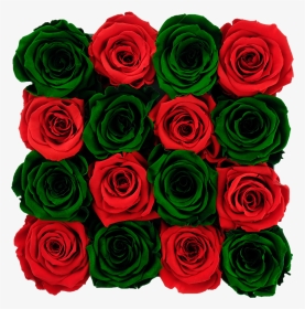 Dark Green Flowers Green Rose, HD Png Download, Transparent PNG