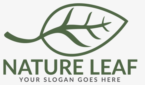 Nature Leaf Logo Design - Calligraphy, HD Png Download, Transparent PNG