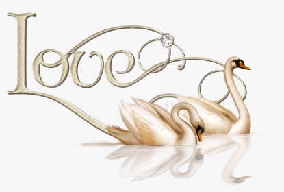 Valentine Love Swans Png Clipart - Love Swan Clip Art, Transparent Png, Transparent PNG