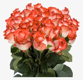 Order Long Stem White Roses With Dark Pink Tips - Orange Colour Rose Flowers, HD Png Download, Transparent PNG