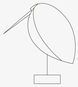 Beak Bird Lazy Snipe Illustration - Sketch, HD Png Download, Transparent PNG