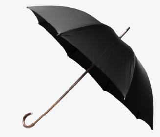 Umbrella Design, HD Png Download, Transparent PNG