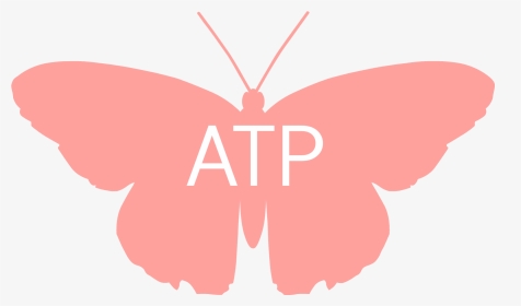 Atp Butterfly - Lycaenid, HD Png Download, Transparent PNG