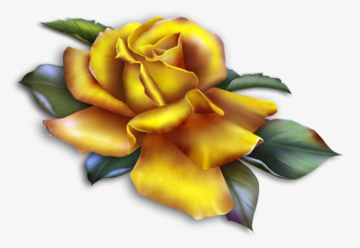 Roses Clipart Yellow, HD Png Download, Transparent PNG