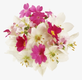 Name Day Flowers, HD Png Download, Transparent PNG
