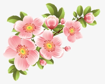 Dahlia or zinnia flower drawing in color, sketch of black line wall mural •  murals imitation, water, watercolor | myloview.com