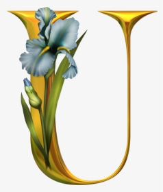Flowers Alphabet Letters U, HD Png Download , Transparent Png Image -  PNGitem