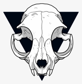 Cat Skull - Cat Skull Line Drawing, HD Png Download, Transparent PNG