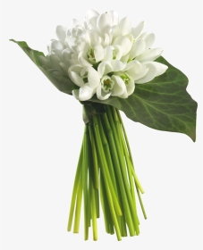 Bouquet Of Jasmine Flowers, HD Png Download, Transparent PNG