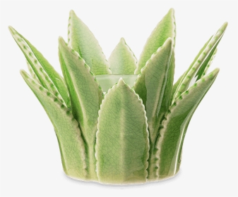 Aloe Vera Scentsy Warmer - Agave, HD Png Download, Transparent PNG