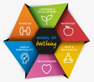 Four Cornerstones Of Wellness, HD Png Download, Transparent PNG