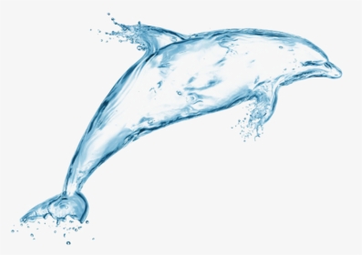 Dolphin Made Of Water, HD Png Download, Transparent PNG