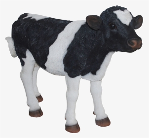 Real Life Cow Farm Animals, HD Png Download, Transparent PNG