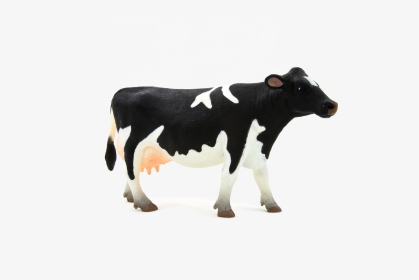 Holstein Cow Mojo, HD Png Download, Transparent PNG