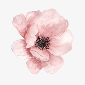 #flower #blossom #peach #watercolor #flowers #pink - Peach Watercolor Flowers, HD Png Download, Transparent PNG