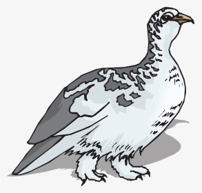 Bird, Wings, Animal, Feathers, Species, Ptarmigan - Black And White Willow Ptarmigan, HD Png Download, Transparent PNG