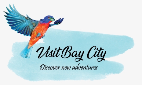 Bay City Tourism Council - Coraciiformes, HD Png Download, Transparent PNG
