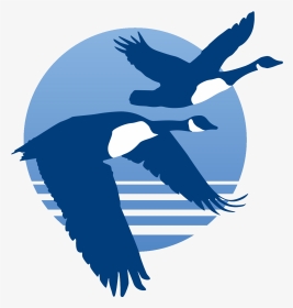 Canada Geese Logo - Eagle, HD Png Download, Transparent PNG