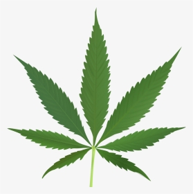 Marijuana - Cannabis Png, Transparent Png, Transparent PNG