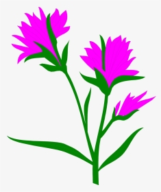 Clip Art Indian Paintbrush Clipart - Cross Pollination By Wind, HD Png Download, Transparent PNG