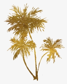 Gold Transparent Palm Tree - Gold Palm Trees Png, Png Download, Transparent PNG