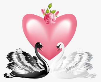 Valentine S Day Love Swans Transparent Png Clip Art - Black Swan And White Swan Art, Png Download, Transparent PNG