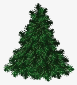 Fir Tree Png Image - Christmas Fir Tree Png, Transparent Png, Transparent PNG