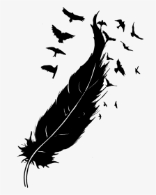#stickers #blackandwhite #feathers #birds #flying #love - Feather With Birds Drawing, HD Png Download, Transparent PNG