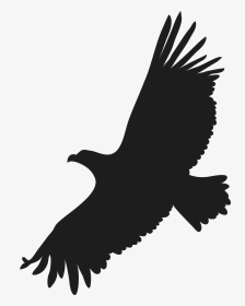 Flying Eagle Png Clip Art Image - Flying Eagle Silhouette Png, Transparent Png, Transparent PNG