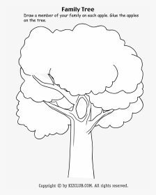 Blank Family Tree Main Image - Illustration, HD Png Download, Transparent PNG