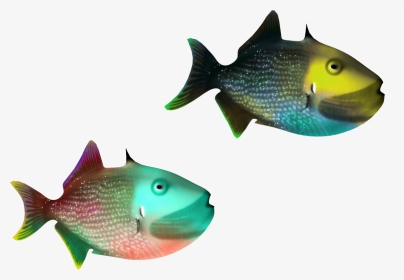 Free Clipart Tropical Fish Svg Royalty Free Stock Photography - Terumbu Karang Png, Transparent Png, Transparent PNG