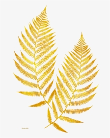Gold Fern Leaf Transparent Background, HD Png Download, Transparent PNG
