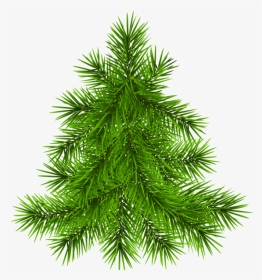 Transparent Background Holiday Tree Clipart, HD Png Download, Transparent PNG