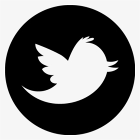 Twitter Social Media Icon Png, Transparent Png, Transparent PNG