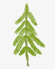 Natural Pine Tree Better - Christmas Tree, HD Png Download, Transparent PNG