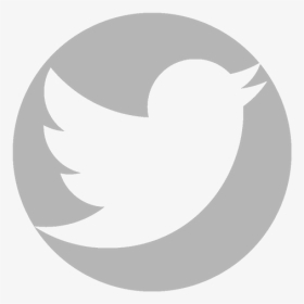 Immagine - White Logo Twitter Icon Png, Transparent Png, Transparent PNG